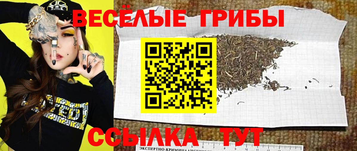 Красный Сулин  Псилоцибиновые грибы ЛСД  Вход с VPN 